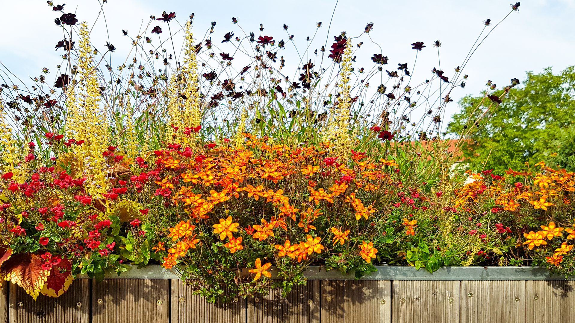 Bordure de fleurs