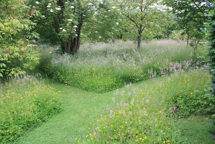 Défrichage de jardin
