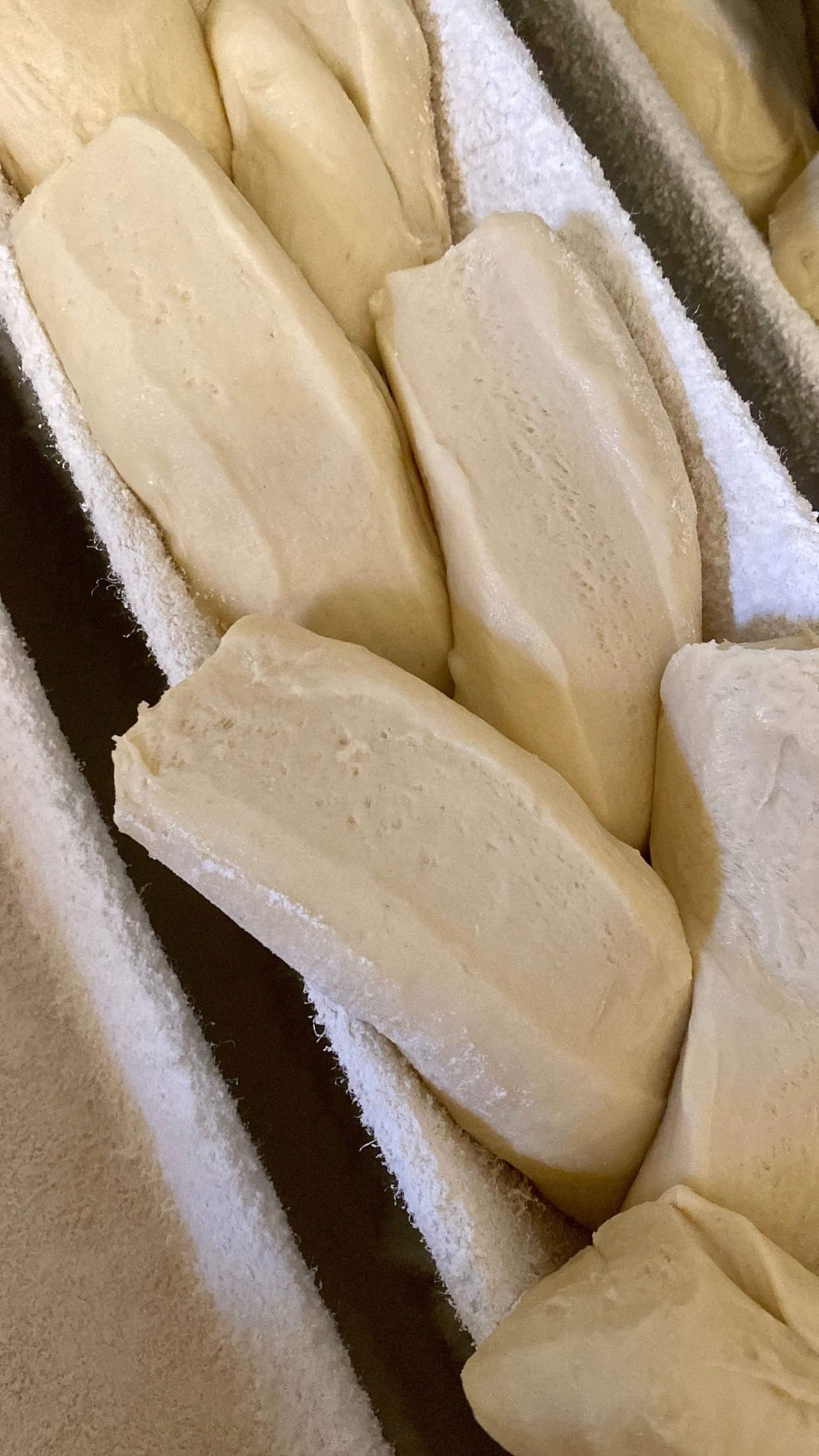 Des petits pains avant cuisson