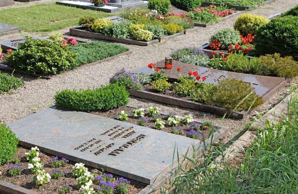 Ein Friedhof voller Blumen und Pflanzen
