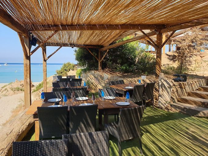 Photo de la terrasse ombragée