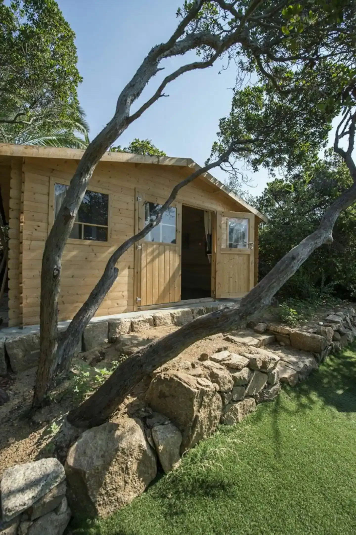 Chalet derrière un arbre
