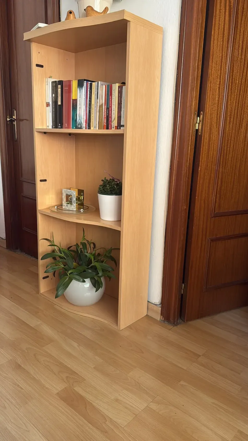 Estantería alta de madera clara con libros y plantas en macetas en un pasillo junto a una puerta de madera.