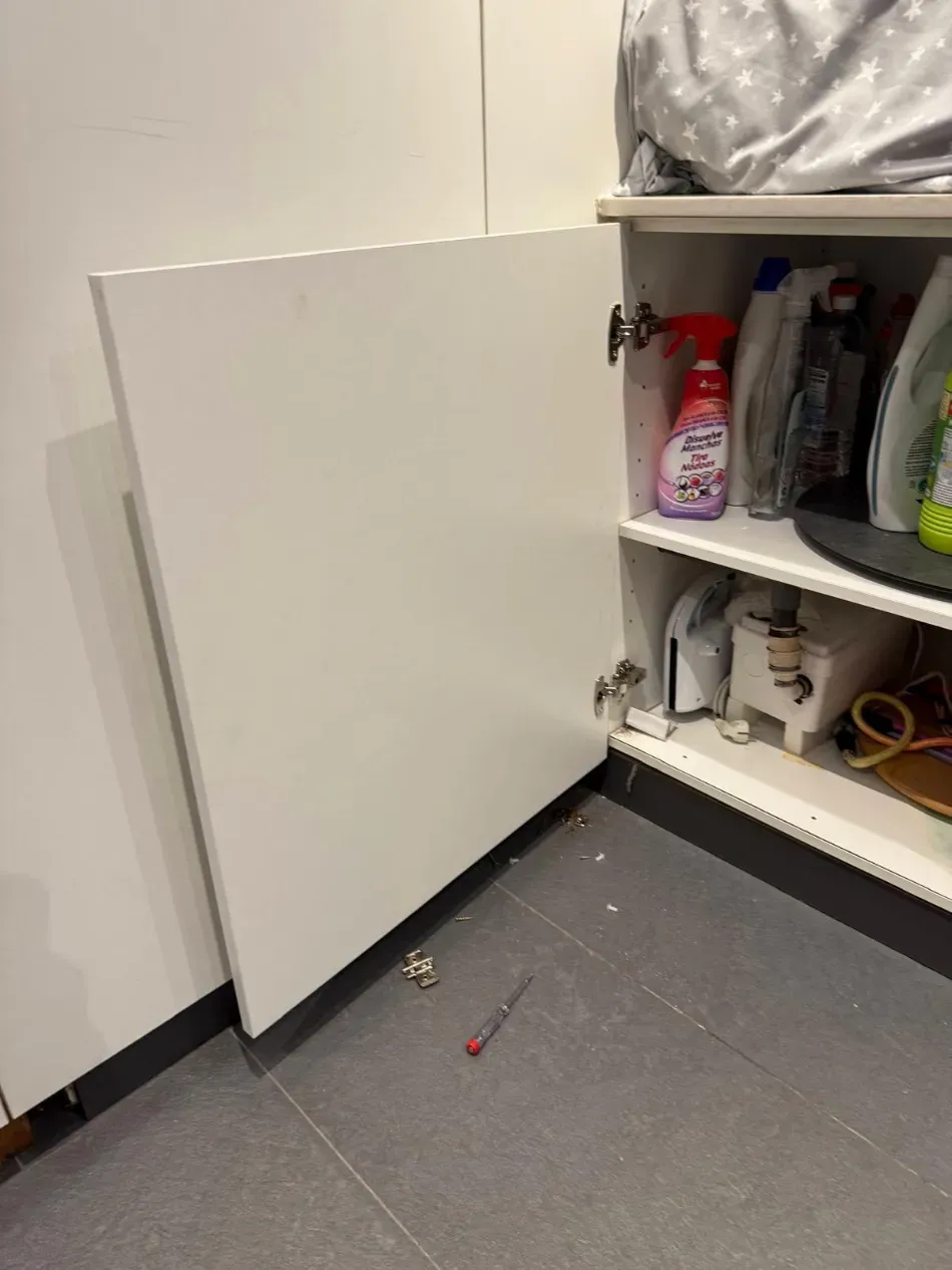 La puerta de un armario blanco está ligeramente abierta en una despensa, con estantes llenos de productos de limpieza y objetos pequeños a su lado.