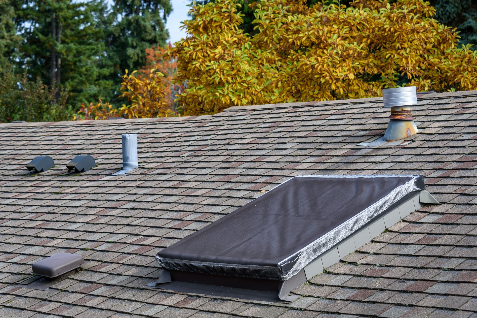 Toit en bardeaux avec deux puits de lumière, un conduit de ventilation et des arbres d'automne en arrière-plan.
