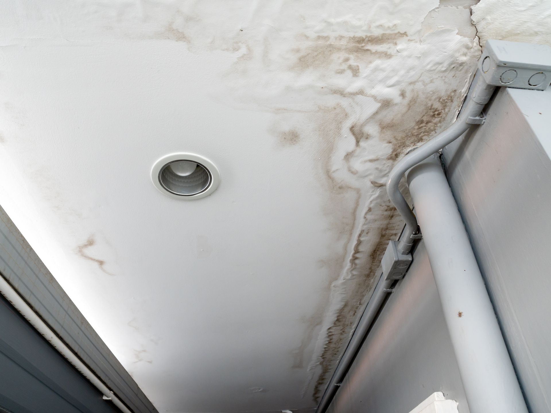 Coin de plafond blanc endommagé par l'eau, présentant des taches de moisissure et un luminaire encastré.