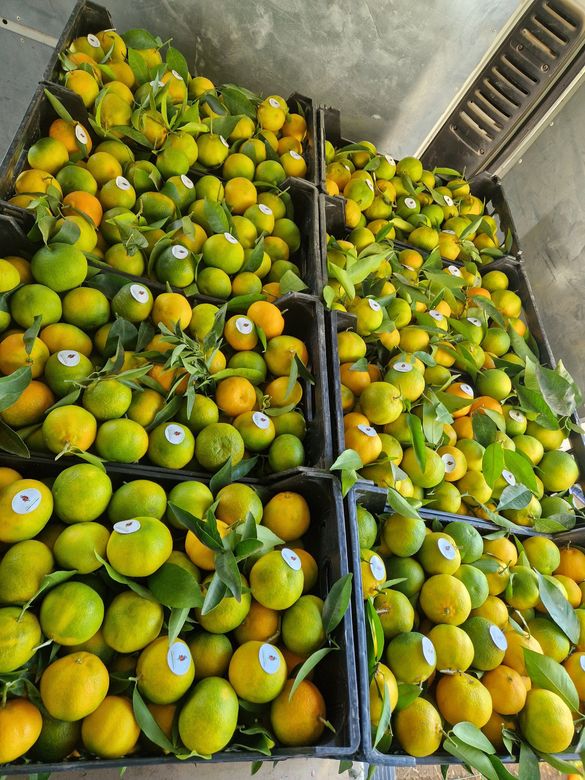 Un montón de naranjas están colocadas una encima de otra sobre una mesa.