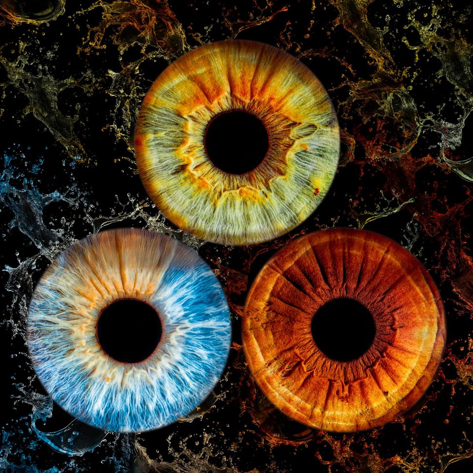 Trois iris colorés — bleu, vert et marron — disposés en triangle sur un fond sombre