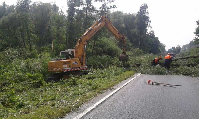 Bagger entfernt Gebüsch