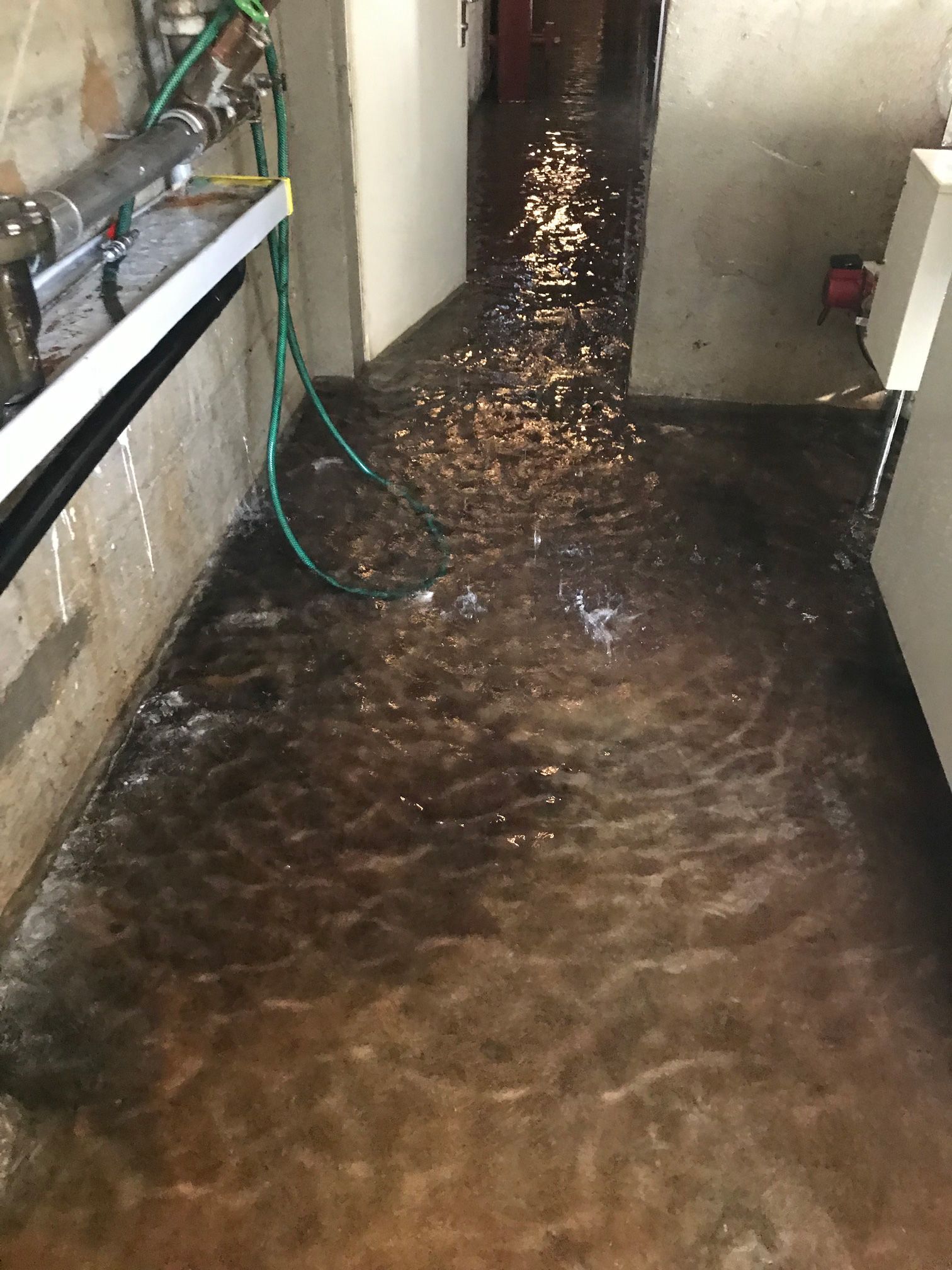 Fuite d'eau dans une cave - BPM Assèchement SA