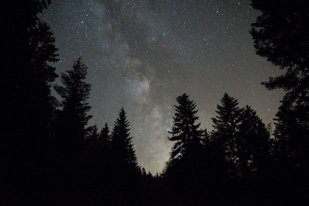 astrophoto voie lactée vue depuis le sol de suisse romande