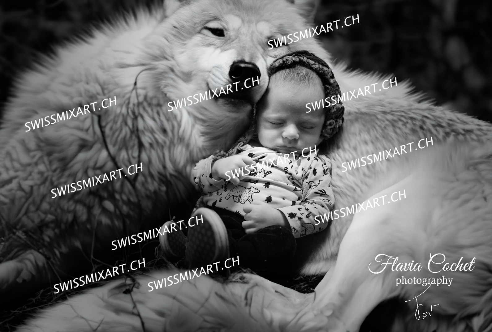 exemple de carte de voeux pour Noël personnalisée