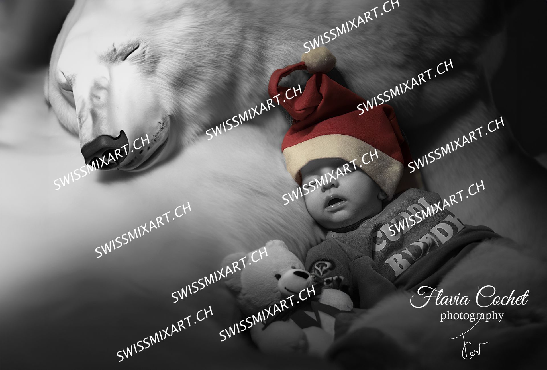 exemple de carte de voeux pour Noël personnalisée