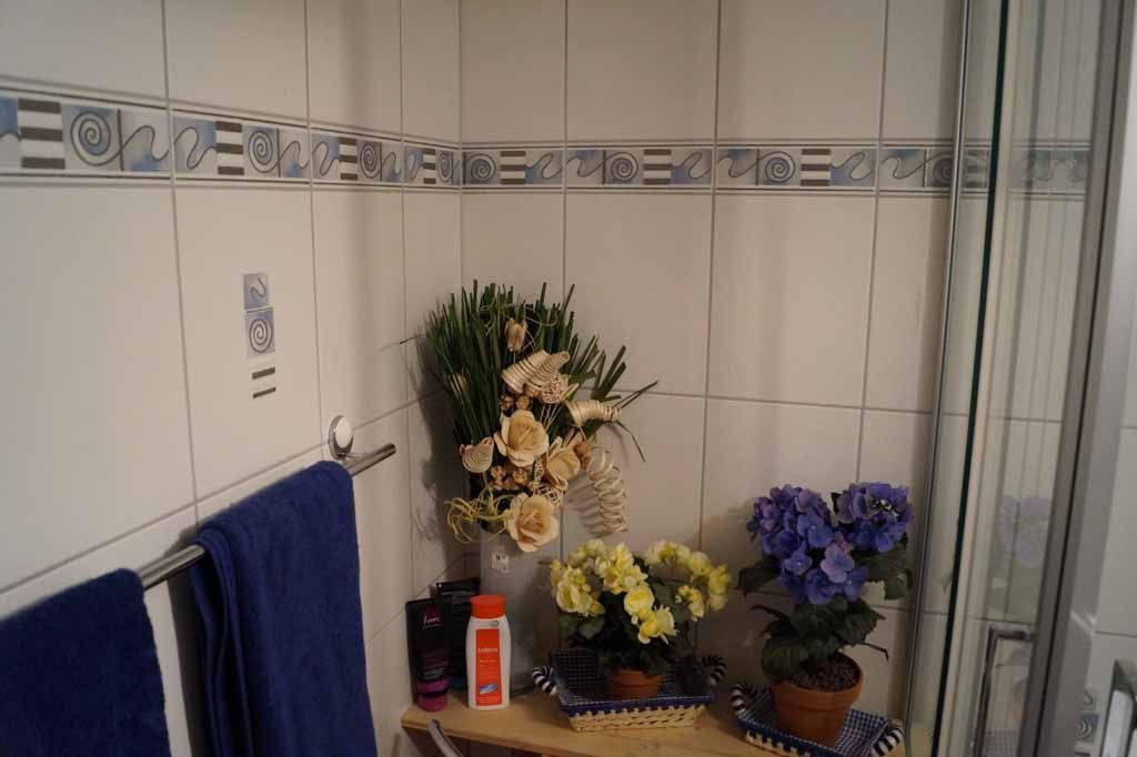 Rohr Mark Plattenbeläge - Reinach AG