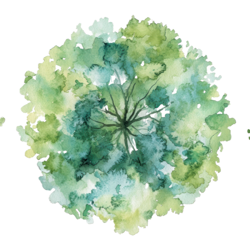 Aquarelle abstraite d'une canopée d'arbre feuillue verte et bleue, vue du dessus.