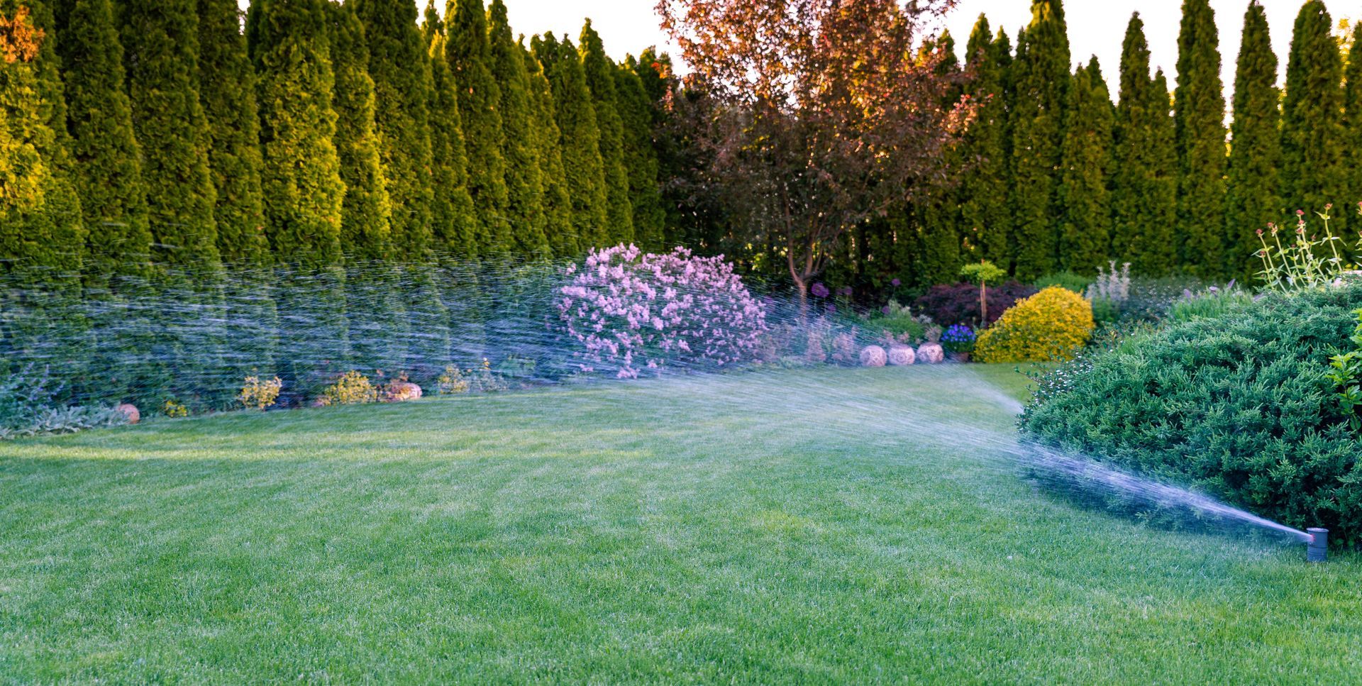 Un jardin verdoyant avec de hautes haies, des parterres de fleurs et un arroseur automatique qui arrose la pelouse.