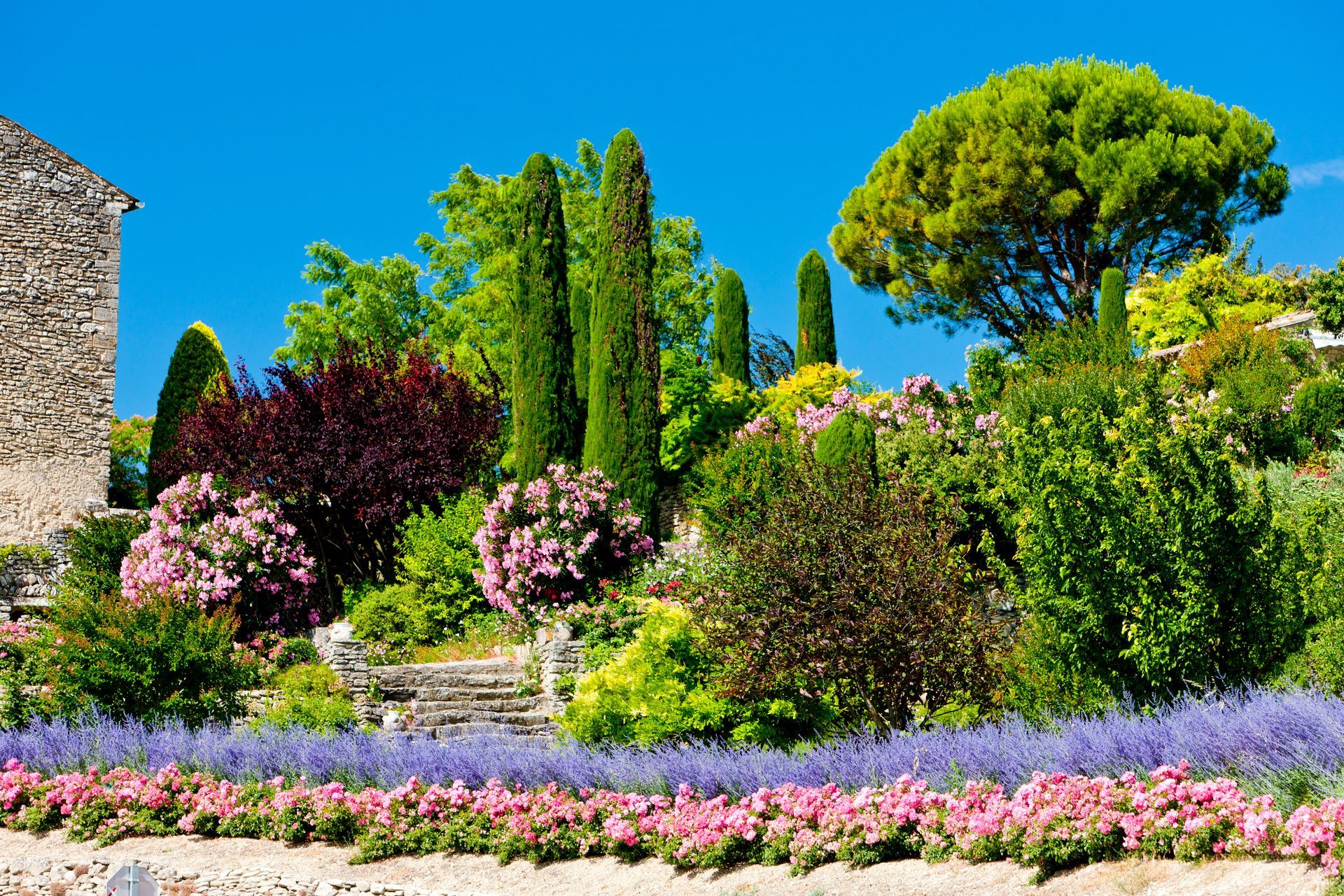 Jardin fleuri et coloré avec des arbustes violets, roses et verts sous un ciel d'un bleu éclatant.