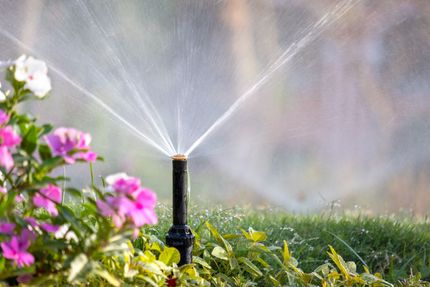 Arroseur de jardin projetant de l'eau sur des plantes vertes et des fleurs roses.