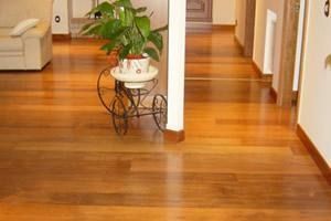 Una planta en maceta está colocada sobre un piso de madera en una sala de estar.