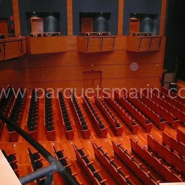 Un auditorio con filas de asientos y el sitio web www.parquetsmarin.com
