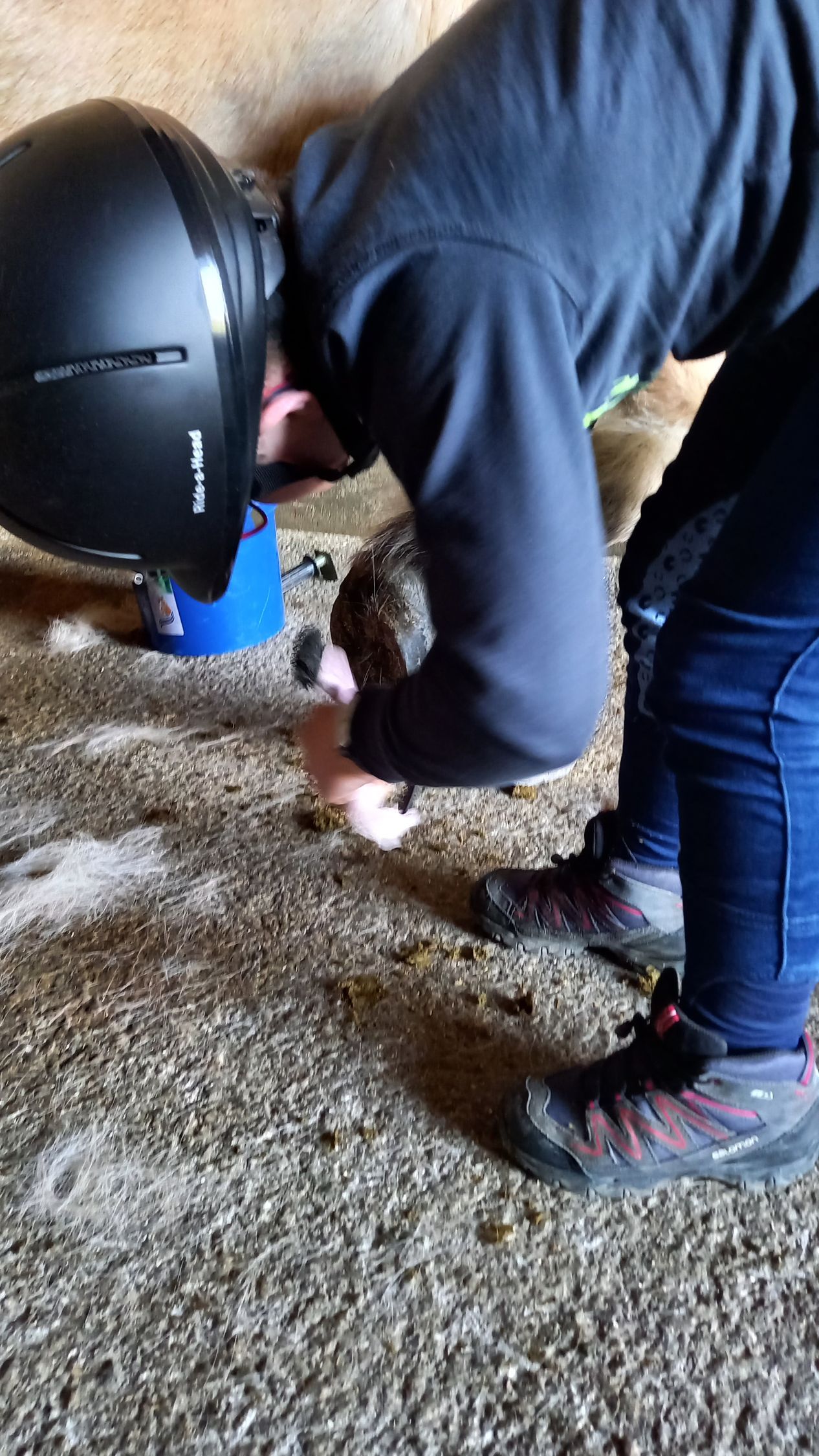 Pferdegestützte Therapie