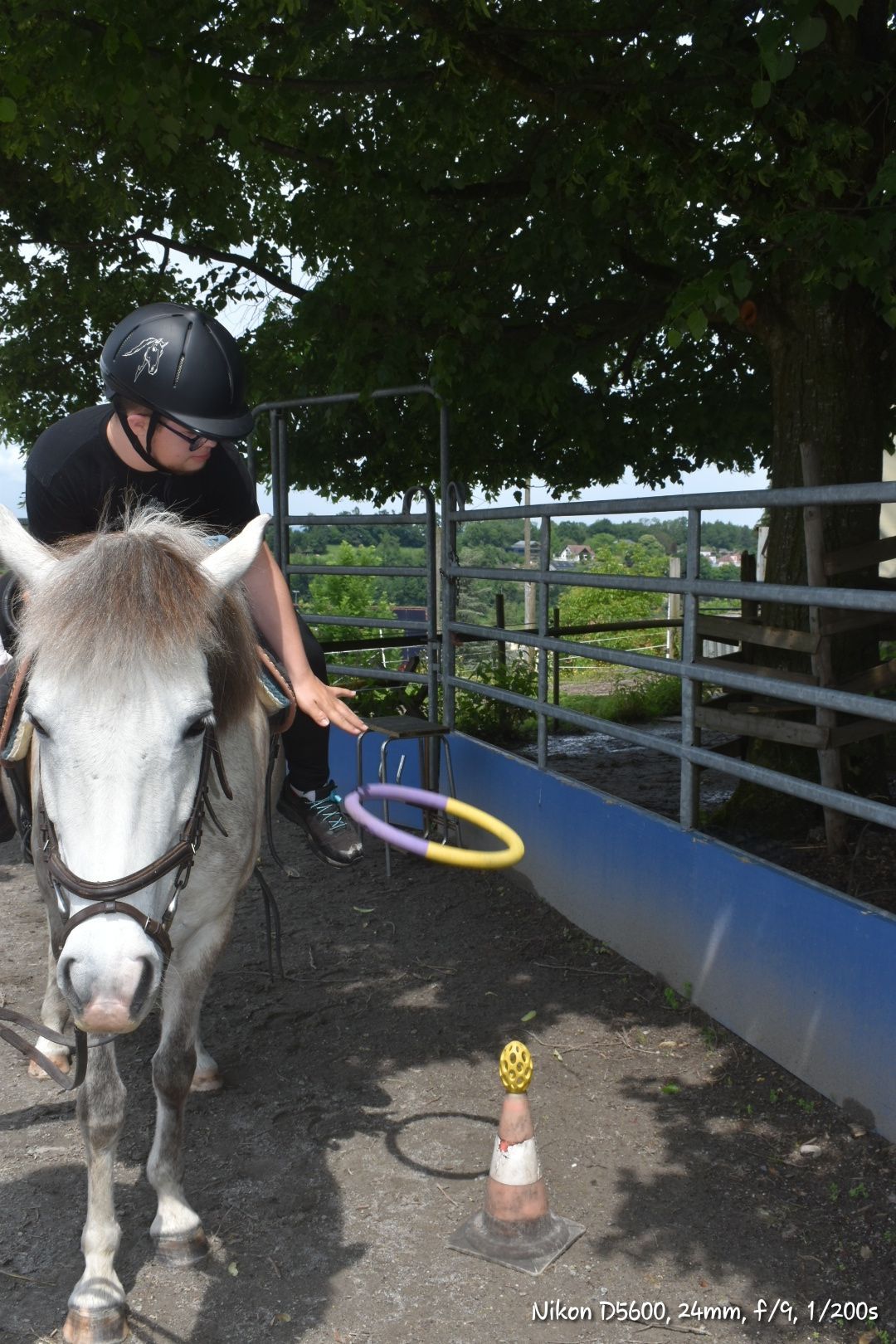 Pferdegestützte Therapie