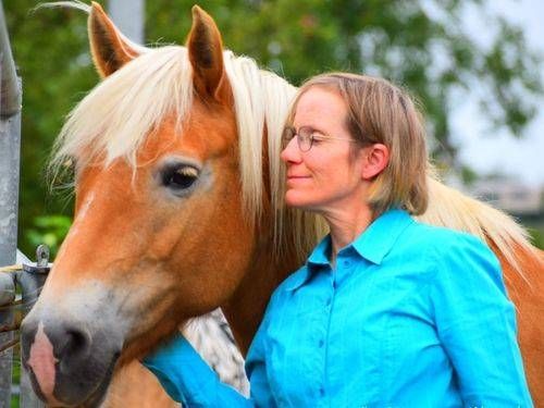 Pferdegestützte Therapie