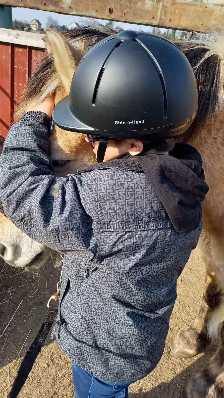 Pferdegestützte Therapie