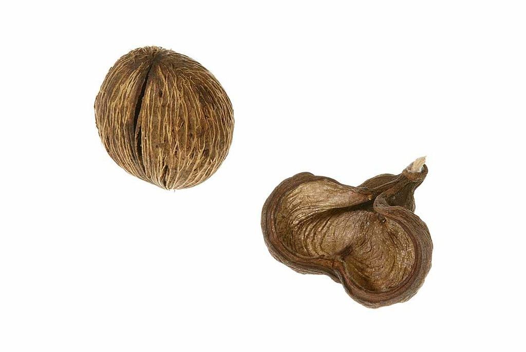 Reportage - Alain Herzog - Lausanne