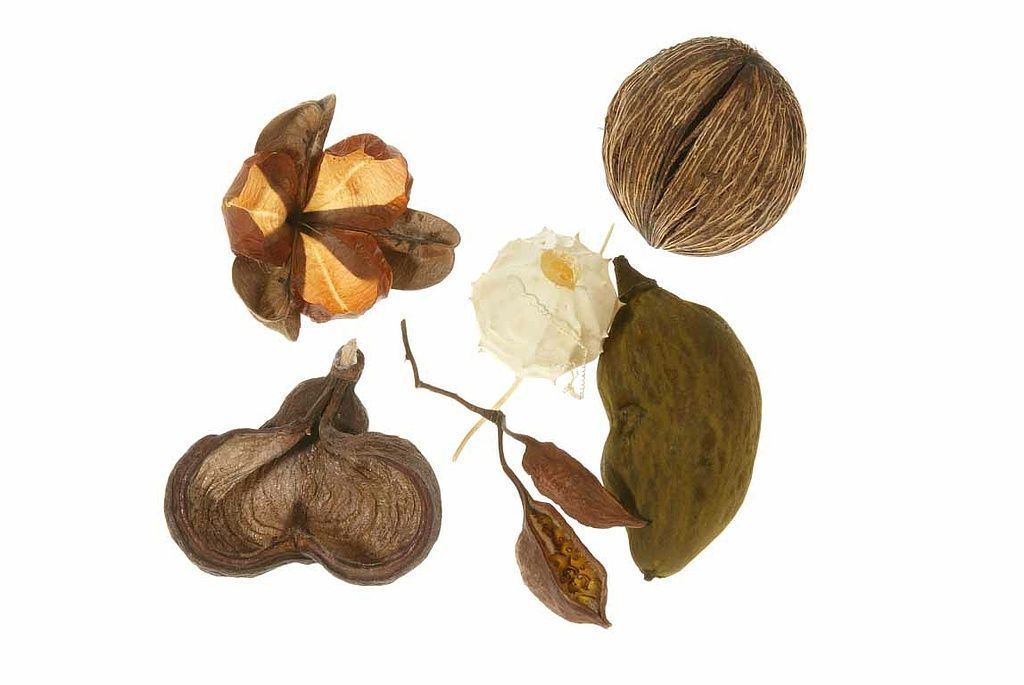 Reportage - Alain Herzog - Lausanne