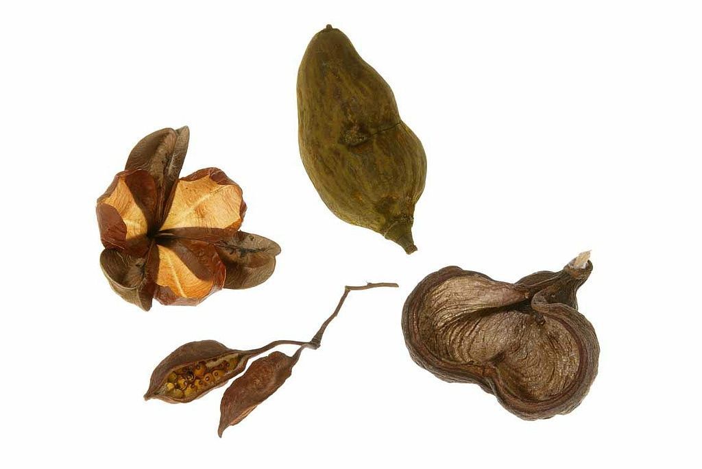 Reportage - Alain Herzog - Lausanne