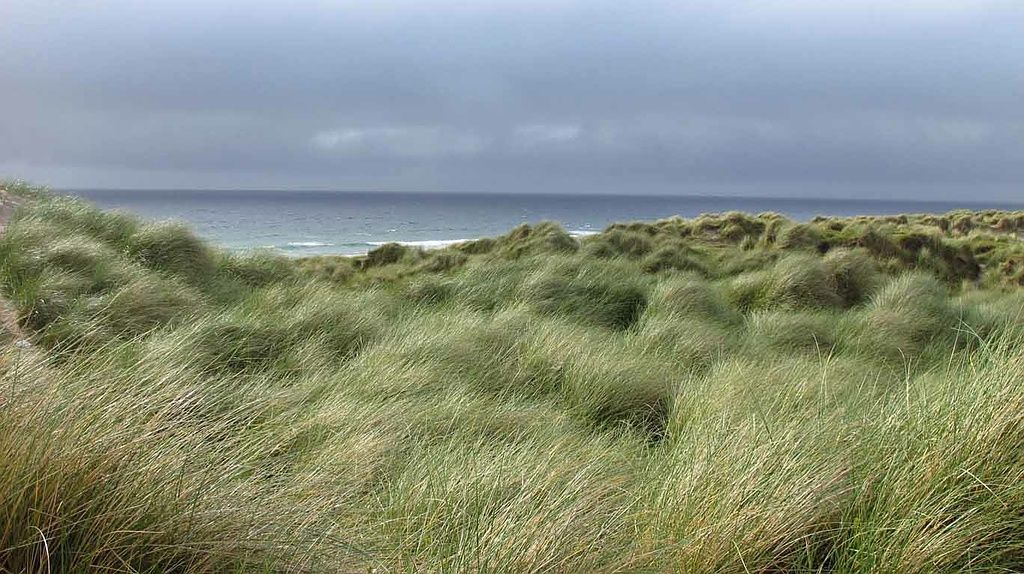 Reportage - Alain Herzog - Lausanne