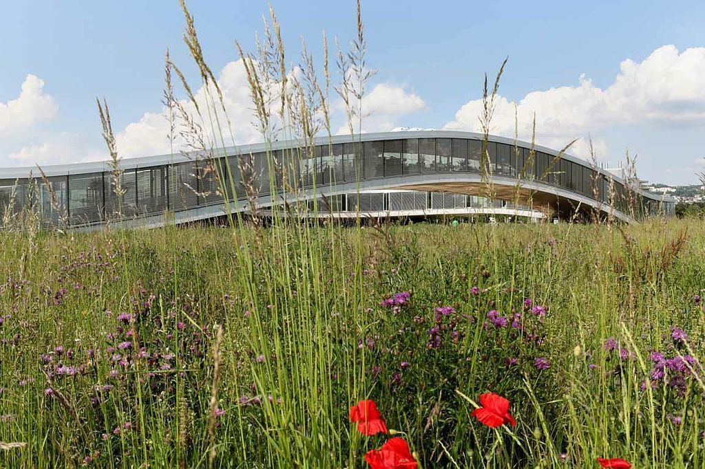 Reportage - Alain Herzog - Lausanne