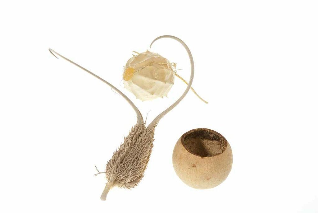 Reportage - Alain Herzog - Lausanne