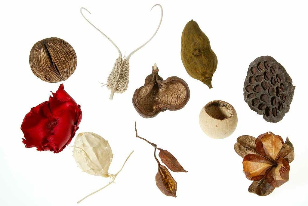 Reportage - Alain Herzog - Lausanne