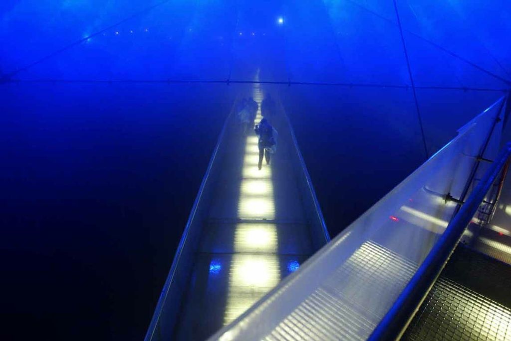 Reportage - Alain Herzog - Lausanne