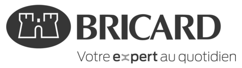 Logo Bricard