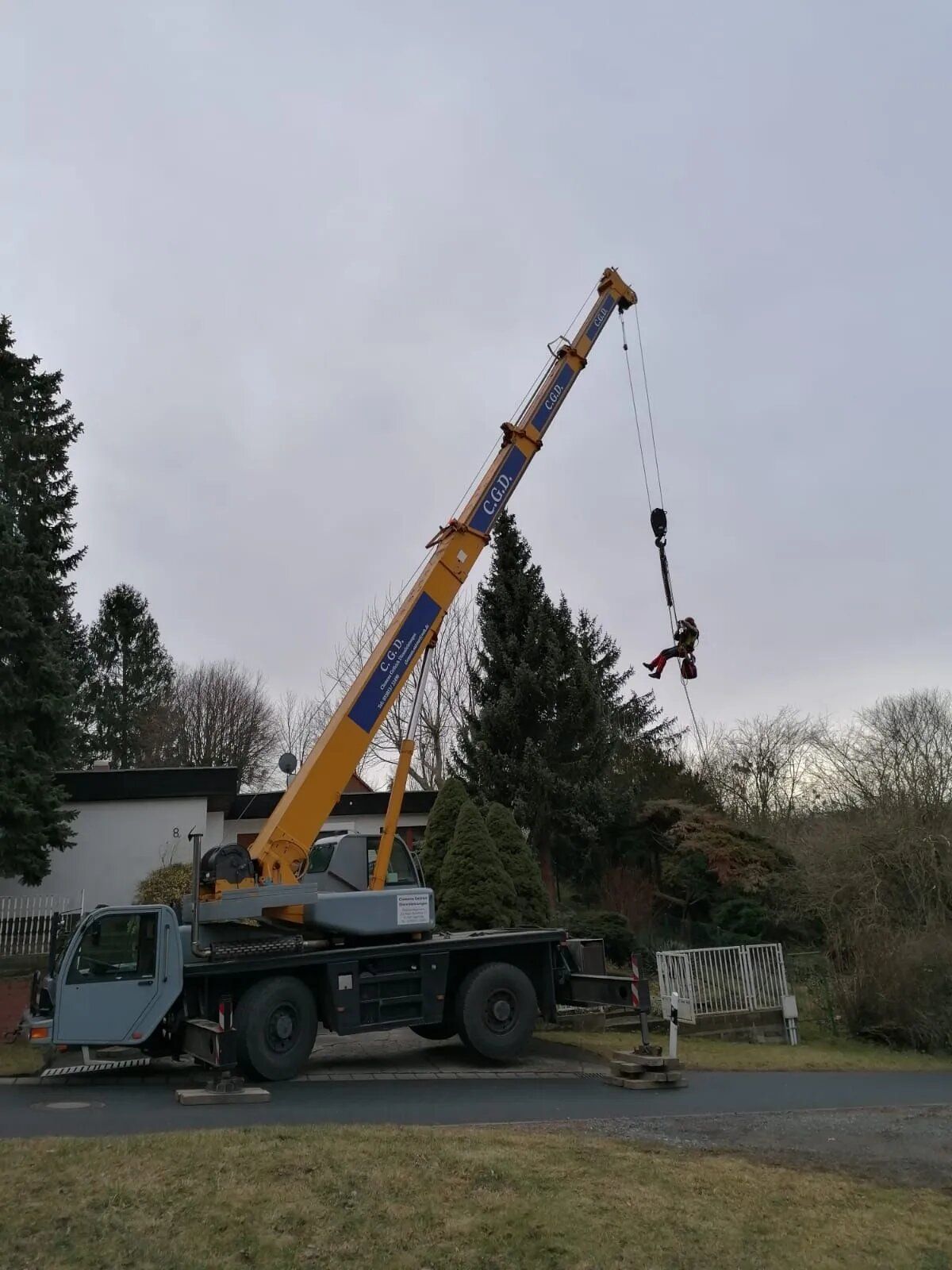 Maschine von Forstarbeiten und Maschinenservice hebt Baum