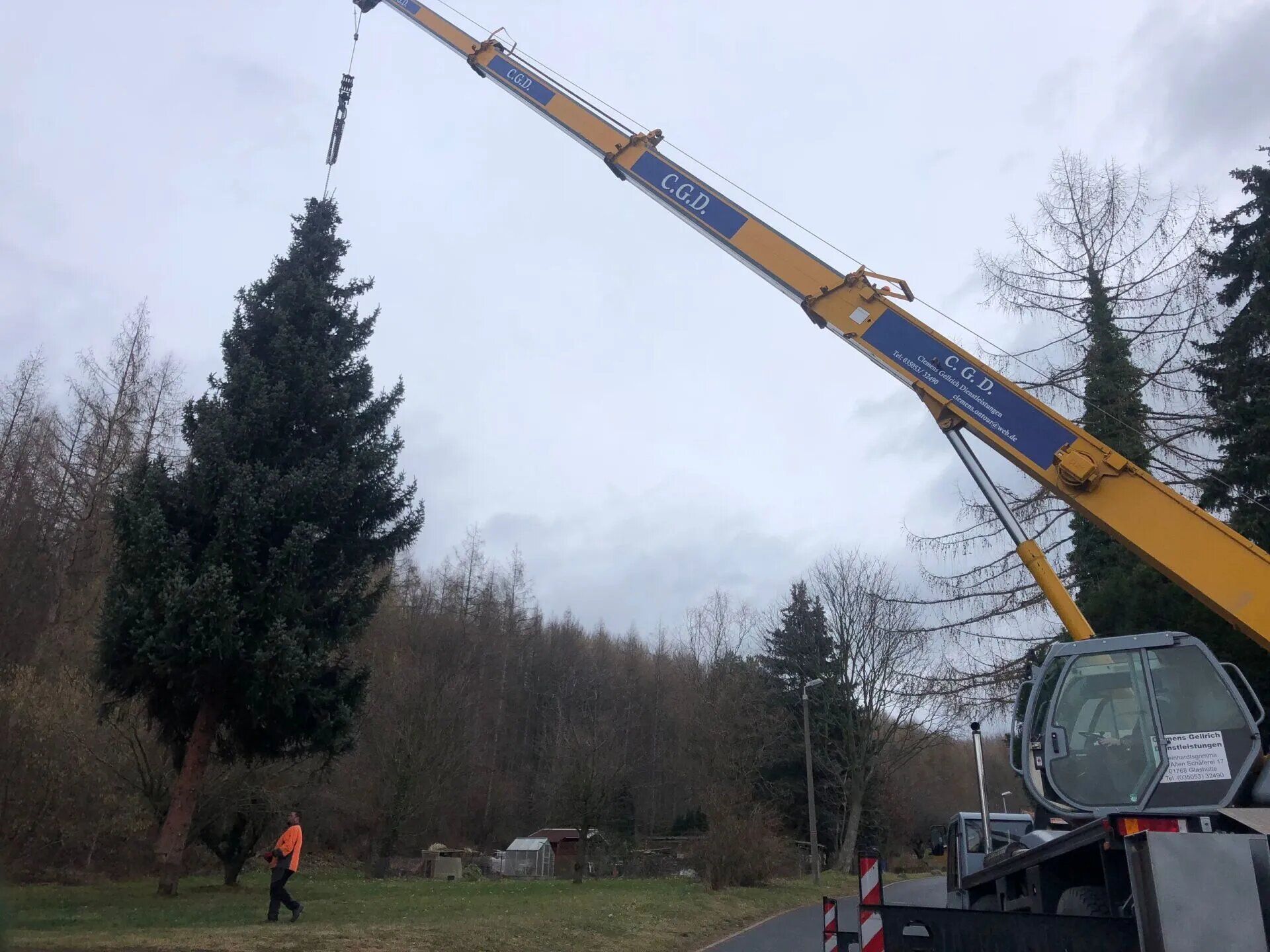 Maschinen von Forstarbeiten und Maschinenservice heben Baum
