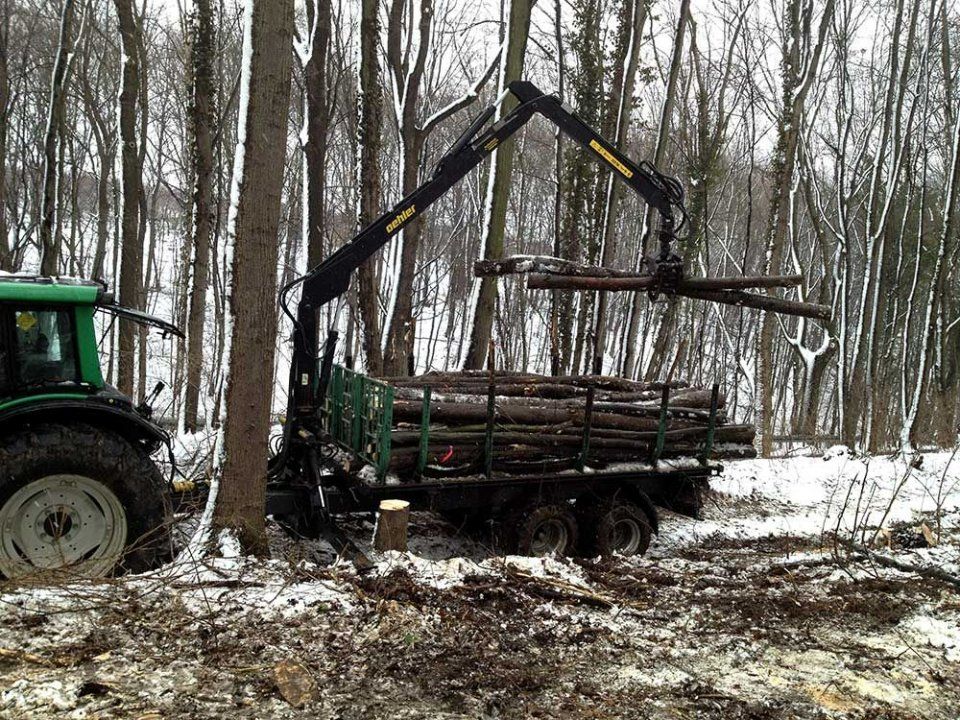 Forstmaschinen von Forstarbeiten und Maschinenservice im Wald
