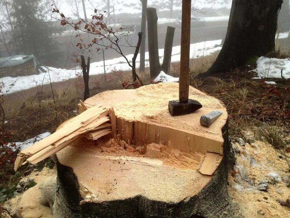 Baum mit Werkzeugen von Forstarbeiten und Maschinenservice