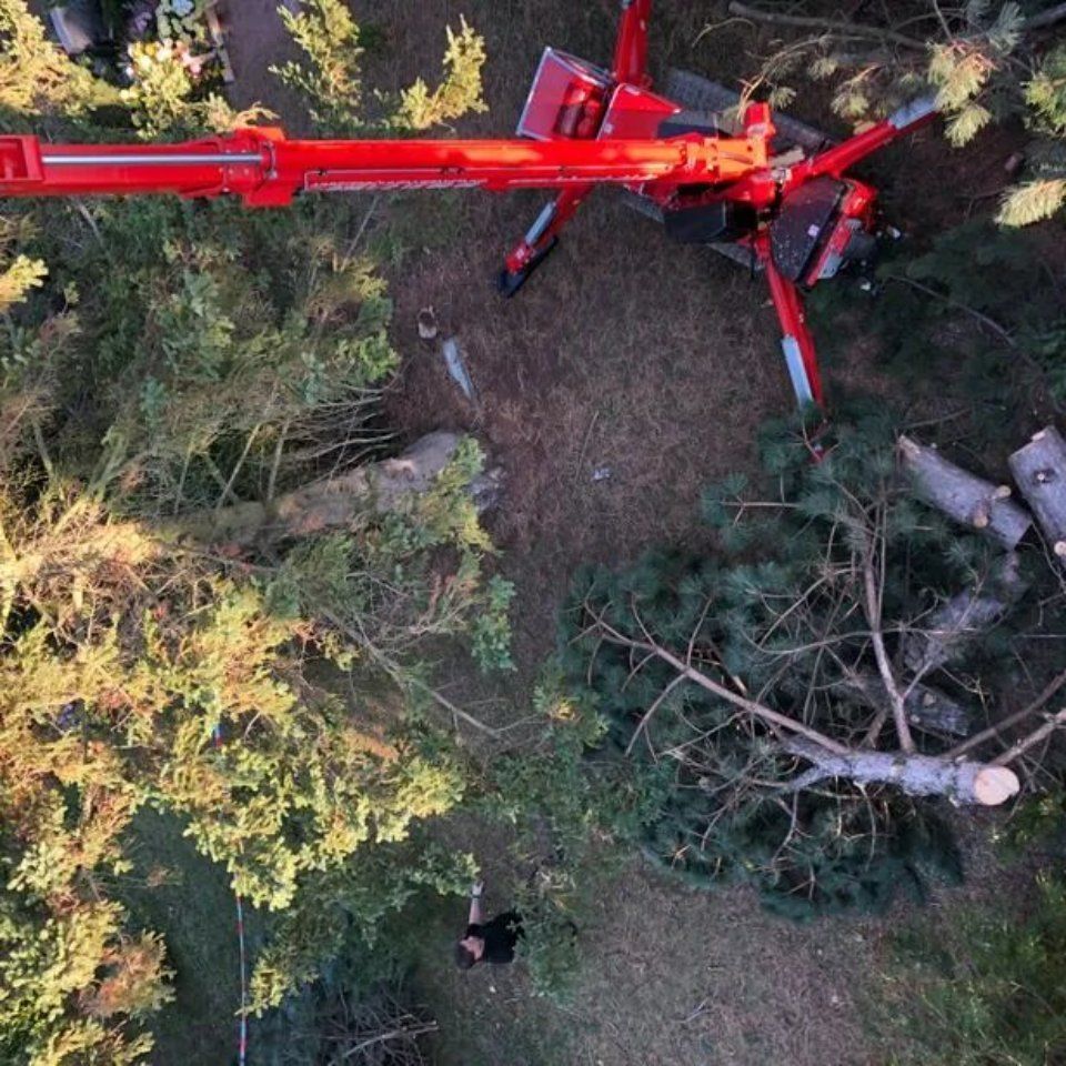 Maschinen von Forstarbeiten und Maschinenservice im Wald