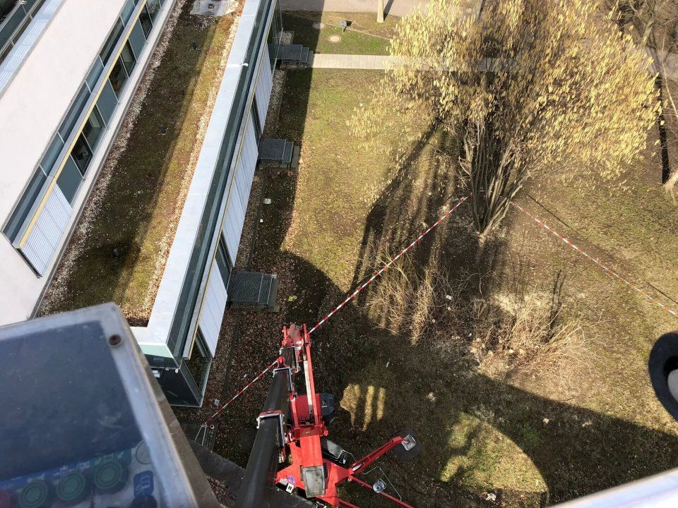 Forstmaschinen von Forstarbeiten und Maschinenservice im Wald