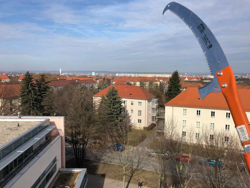 Blick auf Gärten und Bäume, die Forstarbeiten und Maschinenservice bearbeitet