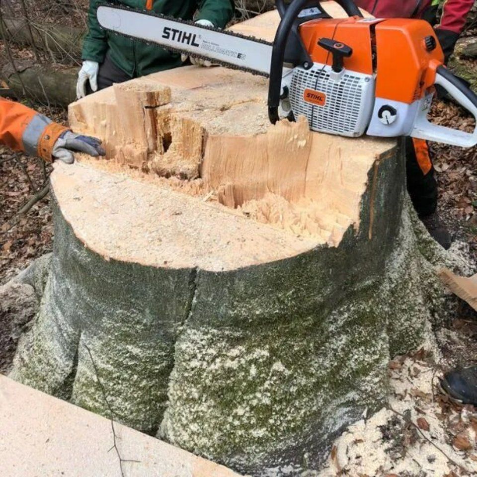 Mitarbeiter von Forstarbeiten und Maschinenservice bearbeitet Baum