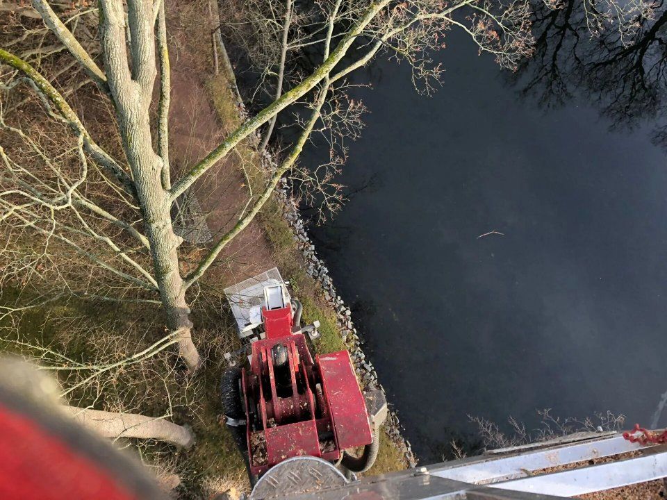 Forstmaschinen von Forstarbeiten und Maschinenservice im Wald