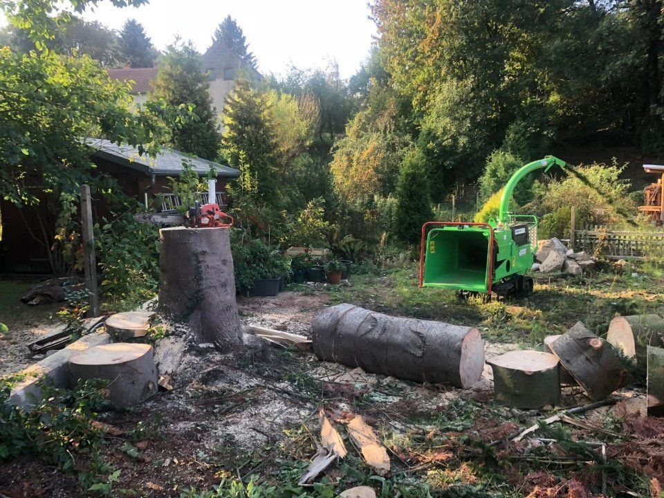 Forstmaschinen von Forstarbeiten und Maschinenservice im Wald