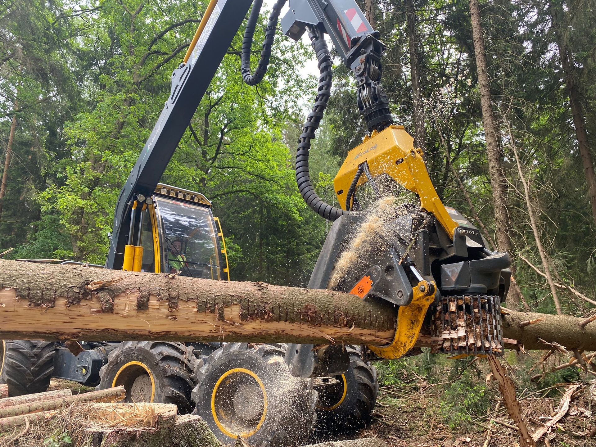 Lastwagen mit Holz von Forstarbeiten und Maschinenservice
