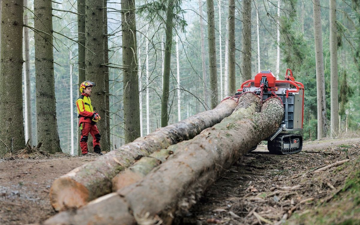 Mitarbeiter von Forstarbeiten und Maschinenservice bearbeitet Baumstumpf