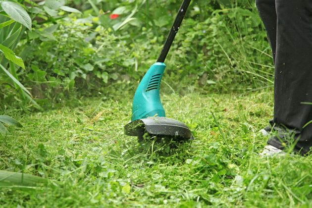 Une personne utilise un coupe-bordure turquoise pour tondre la pelouse d'un jardin luxuriant.